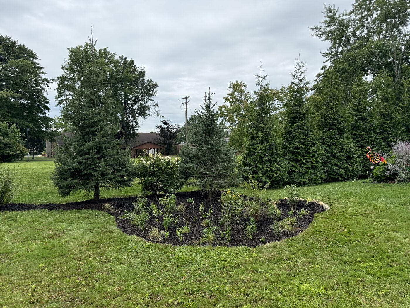 Rain garden installation as planted island in lawn, Tallmadge Ohio